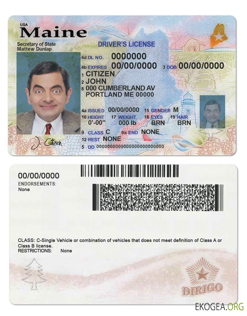 USA Maine state driving license template in PSD format, with all fonts (2019 – present)